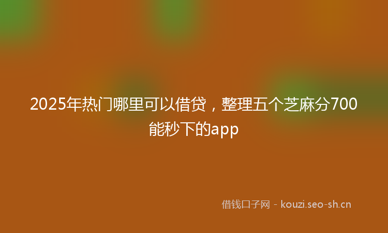2025年热门哪里可以借贷，整理五个芝麻分700能秒下的app