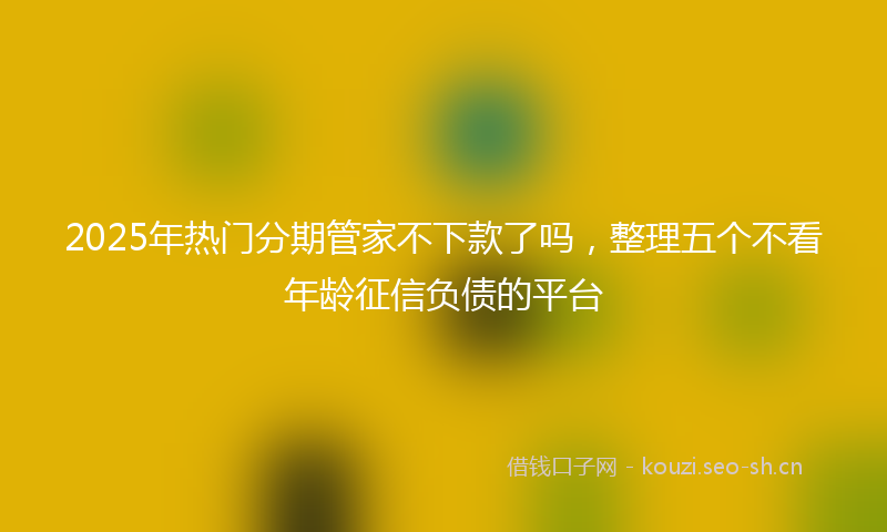 2025年热门分期管家不下款了吗，整理五个不看年龄征信负债的平台