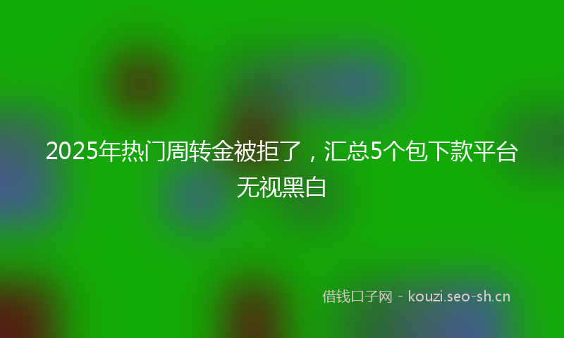 2025年热门周转金被拒了，汇总5个包下款平台无视黑白