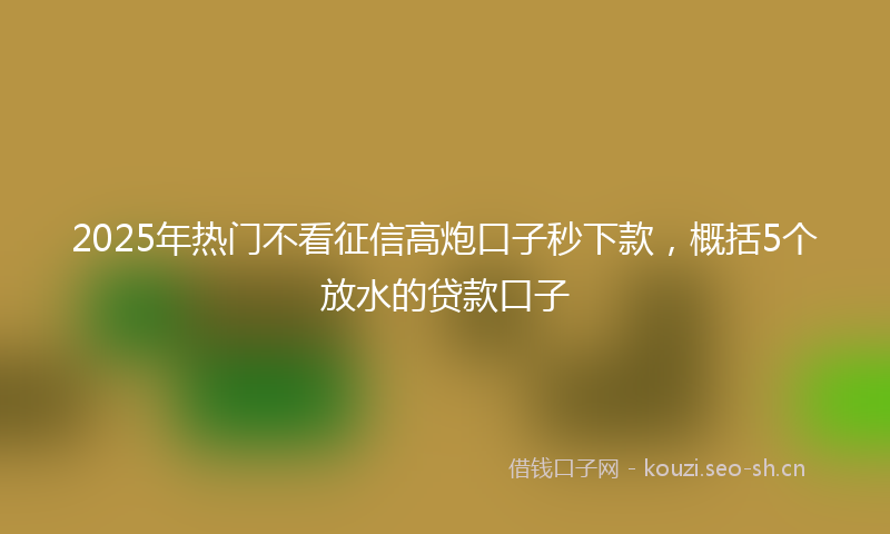 2025年热门不看征信高炮口子秒下款，概括5个放水的贷款口子