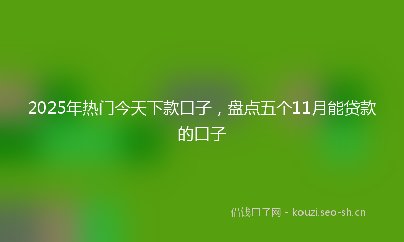 2025年热门今天下款口子，盘点五个11月能贷款的口子