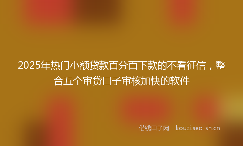 2025年热门小额贷款百分百下款的不看征信，整合五个审贷口子审核加快的软件