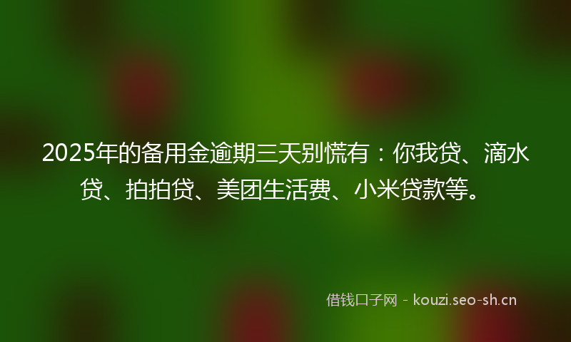 2025年的备用金逾期三天别慌有：你我贷、滴水贷、拍拍贷、美团生活费、小米贷款等。
