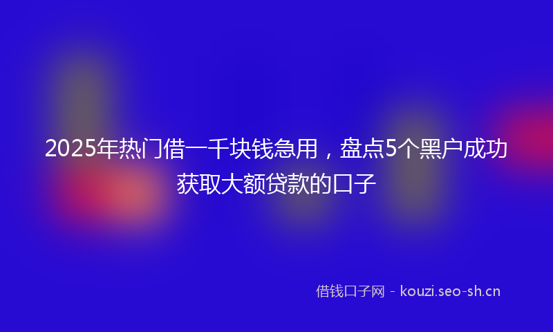 2025年热门借一千块钱急用，盘点5个黑户成功获取大额贷款的口子
