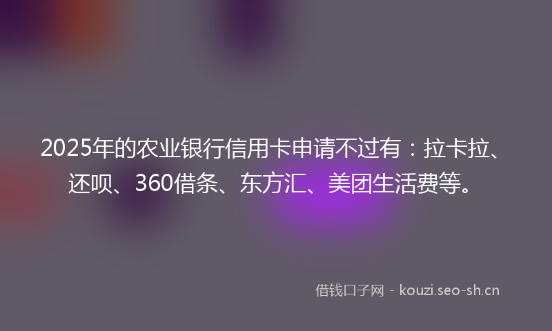 2025年的农业银行信用卡申请不过有：拉卡拉、还呗、360借条、东方汇、美团生活费等。