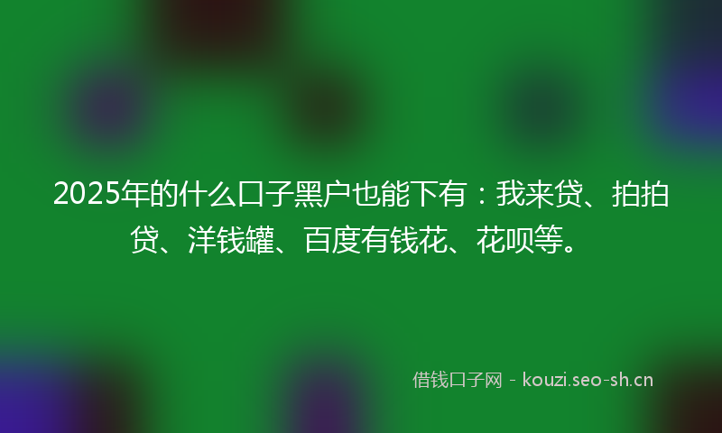 2025年的什么口子黑户也能下有：我来贷、拍拍贷、洋钱罐、百度有钱花、花呗等。