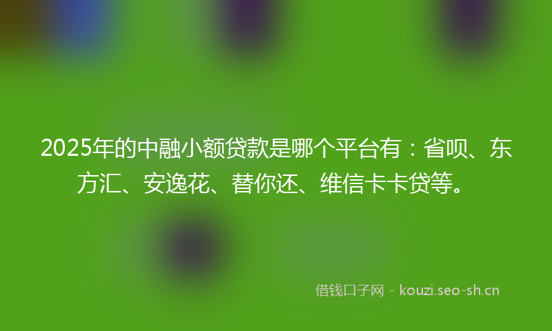 2025年的中融小额贷款是哪个平台有：省呗、东方汇、安逸花、替你还、维信卡卡贷等。