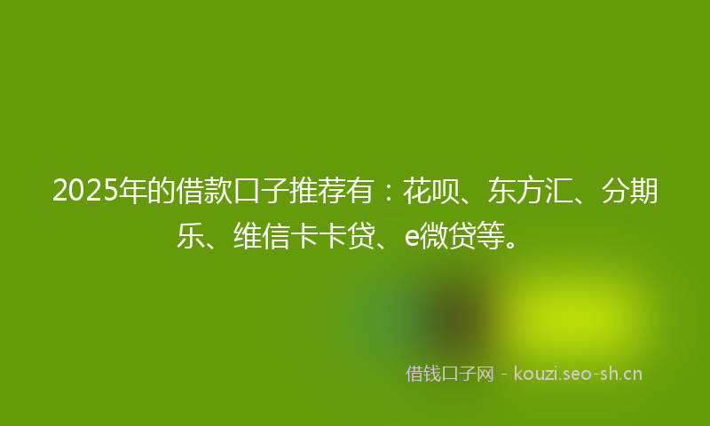 2025年的借款口子推荐有：花呗、东方汇、分期乐、维信卡卡贷、e微贷等。
