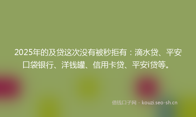 2025年的及贷这次没有被秒拒有：滴水贷、平安口袋银行、洋钱罐、信用卡贷、平安i贷等。