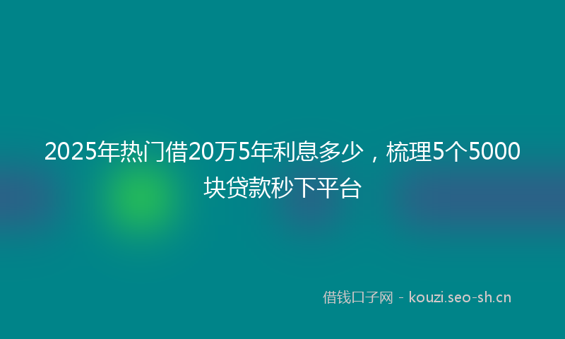 2025年热门借20万5年利息多少，梳理5个5000块贷款秒下平台