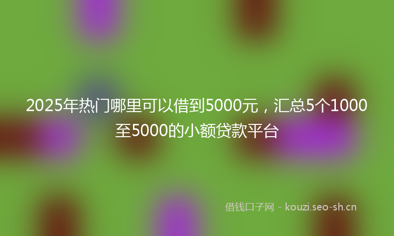 2025年热门哪里可以借到5000元，汇总5个1000至5000的小额贷款平台