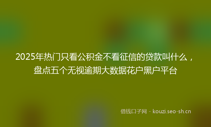 2025年热门只看公积金不看征信的贷款叫什么，盘点五个无视逾期大数据花户黑户平台