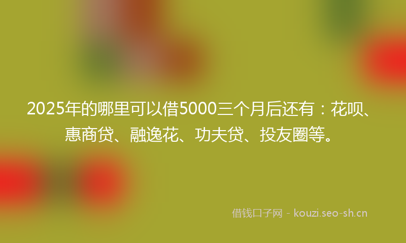 2025年的哪里可以借5000三个月后还有：花呗、惠商贷、融逸花、功夫贷、投友圈等。