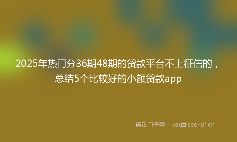 2025年热门分36期48期的贷款平台不上征信的，总结5个比较好的小额贷款app