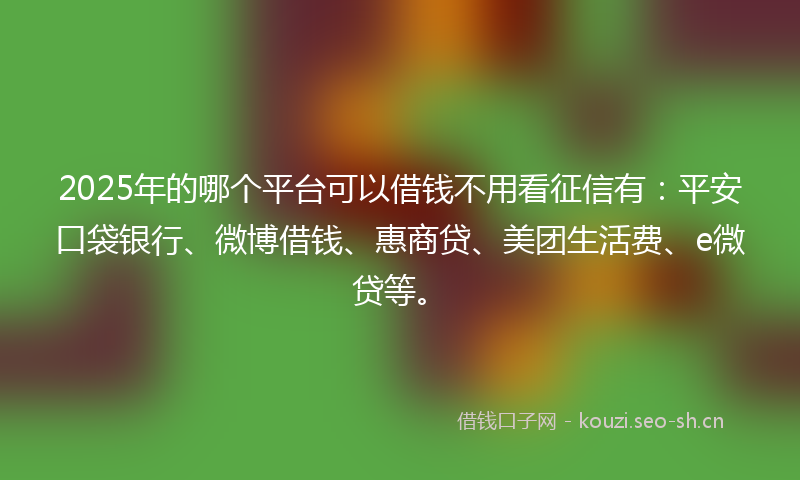 2025年的哪个平台可以借钱不用看征信有：平安口袋银行、微博借钱、惠商贷、美团生活费、e微贷等。