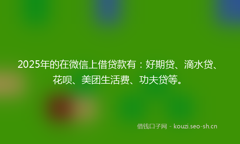 2025年的在微信上借贷款有：好期贷、滴水贷、花呗、美团生活费、功夫贷等。
