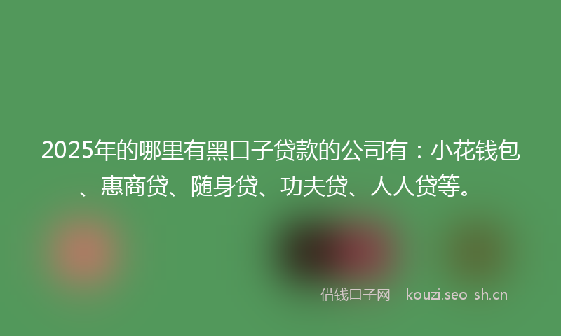 2025年的哪里有黑口子贷款的公司有：小花钱包、惠商贷、随身贷、功夫贷、人人贷等。