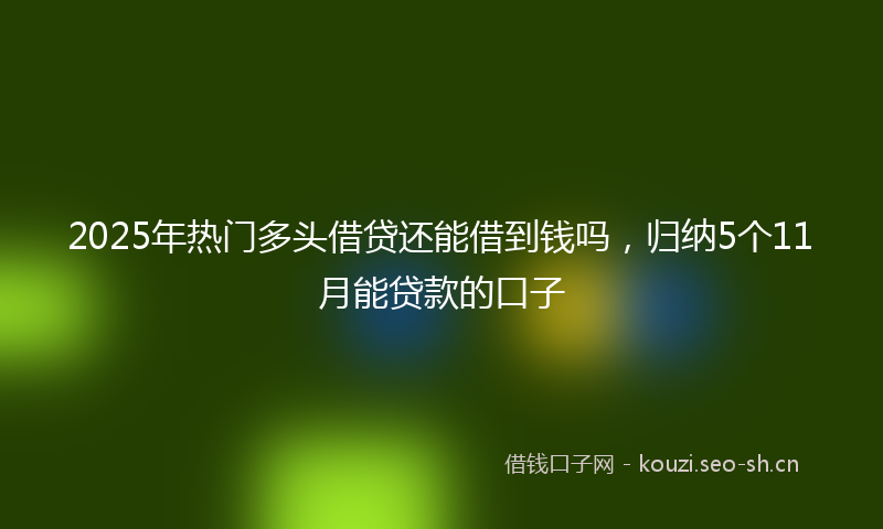 2025年热门多头借贷还能借到钱吗,归纳5个11月能贷款的口子