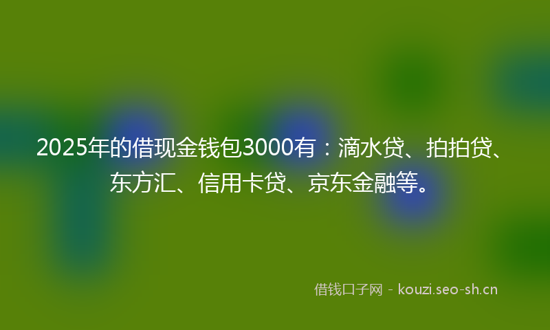 2025年的借现金钱包3000有：滴水贷、拍拍贷、东方汇、信用卡贷、京东金融等。
