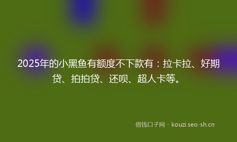 2025年的小黑鱼有额度不下款有：拉卡拉、好期贷、拍拍贷、还呗、超人卡等。