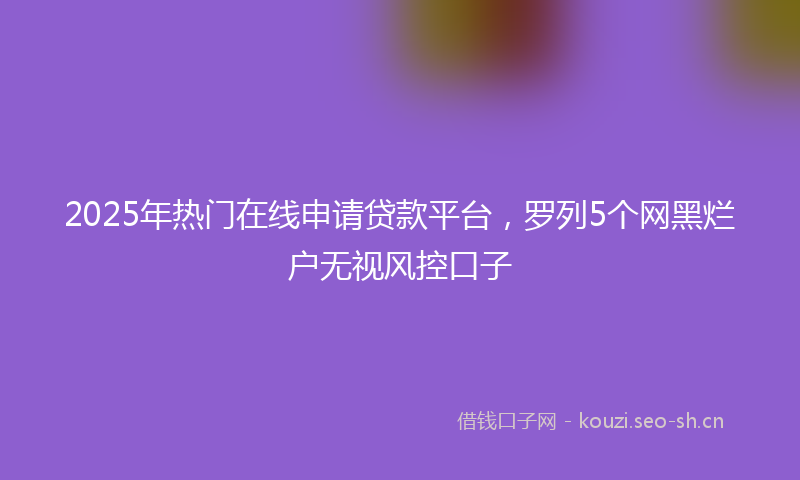 2025年热门在线申请贷款平台,罗列5个网黑烂户无视风控口子