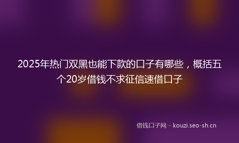 2025年热门双黑也能下款的口子有哪些，概括五个20岁借钱不求征信速借口子