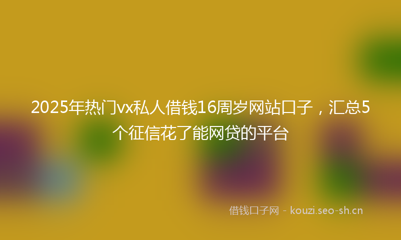 2025年热门vx私人借钱16周岁网站口子，汇总5个征信花了能网贷的平台