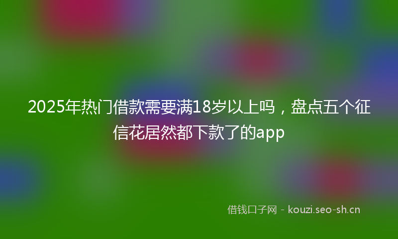 2025年热门借款需要满18岁以上吗，盘点五个征信花居然都下款了的app