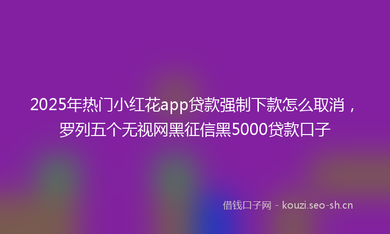 2025年热门小红花app贷款强制下款怎么取消，罗列五个无视网黑征信黑5000贷款口子