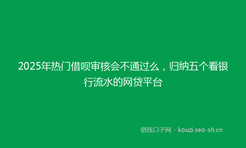 2025年热门借呗审核会不通过么，归纳五个看银行流水的网贷平台