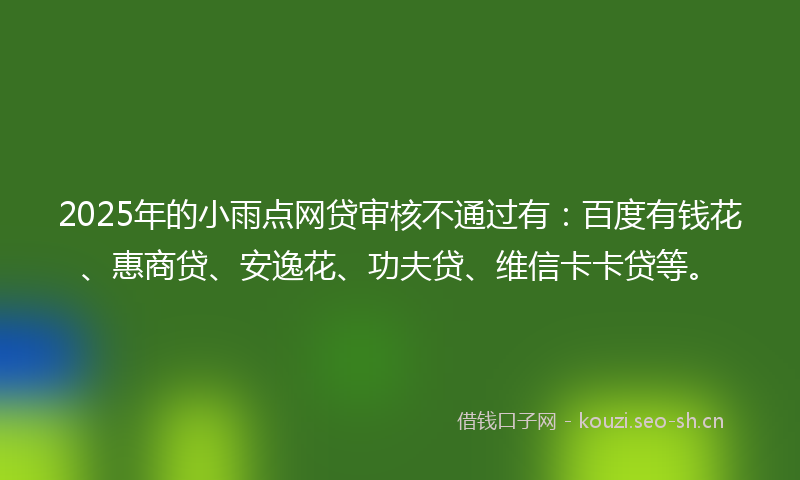 2025年的小雨点网贷审核不通过有:百度有钱花、惠商贷、安逸花、功夫贷、维信卡卡贷等。