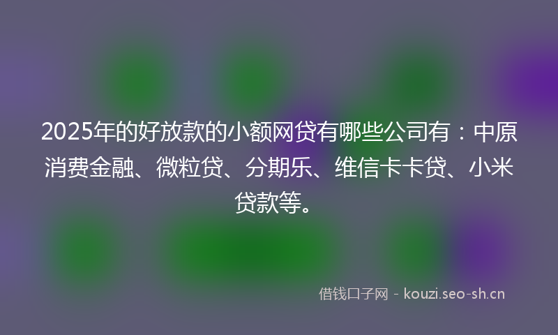 2025年的好放款的小额网贷有哪些公司有：中原消费金融、微粒贷、分期乐、维信卡卡贷、小米贷款等。