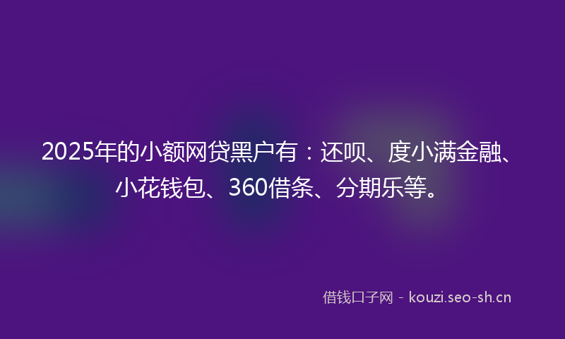 2025年的小额网贷黑户有：还呗、度小满金融、小花钱包、360借条、分期乐等。