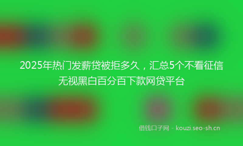 2025年热门发薪贷被拒多久，汇总5个不看征信无视黑白百分百下款网贷平台