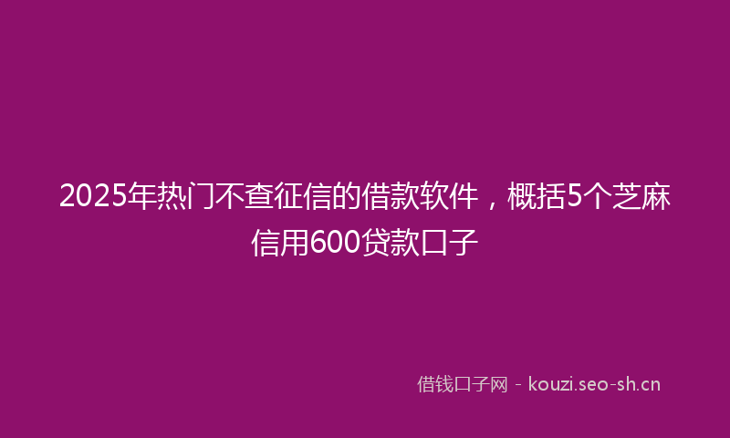 2025年热门不查征信的借款软件，概括5个芝麻信用600贷款口子