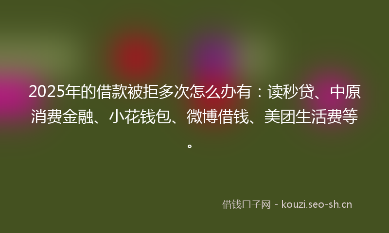 2025年的借款被拒多次怎么办有：读秒贷、中原消费金融、小花钱包、微博借钱、美团生活费等。