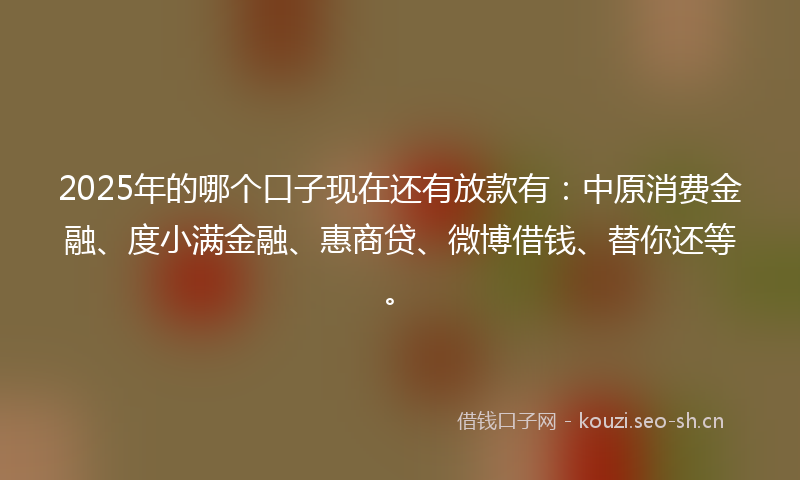 2025年的哪个口子现在还有放款有：中原消费金融、度小满金融、惠商贷、微博借钱、替你还等。