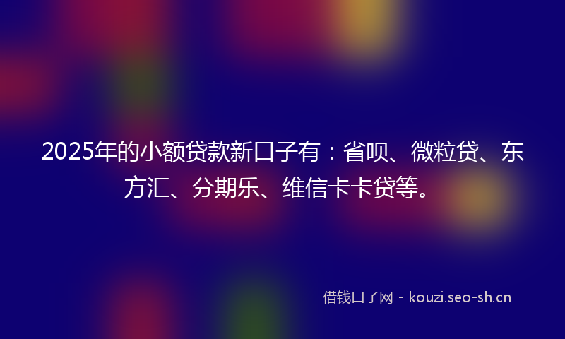 2025年的小额贷款新口子有：省呗、微粒贷、东方汇、分期乐、维信卡卡贷等。