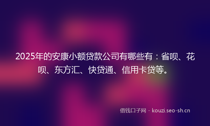 2025年的安康小额贷款公司有哪些有：省呗、花呗、东方汇、快贷通、信用卡贷等。