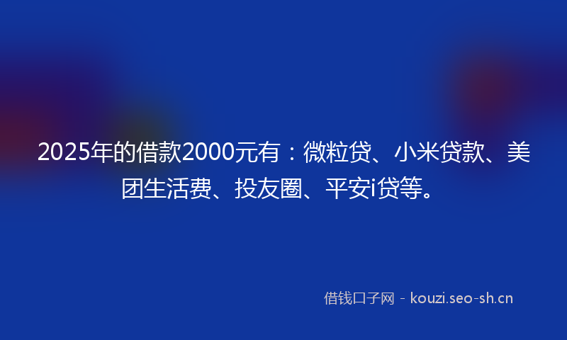 2025年的借款2000元有：微粒贷、小米贷款、美团生活费、投友圈、平安i贷等。