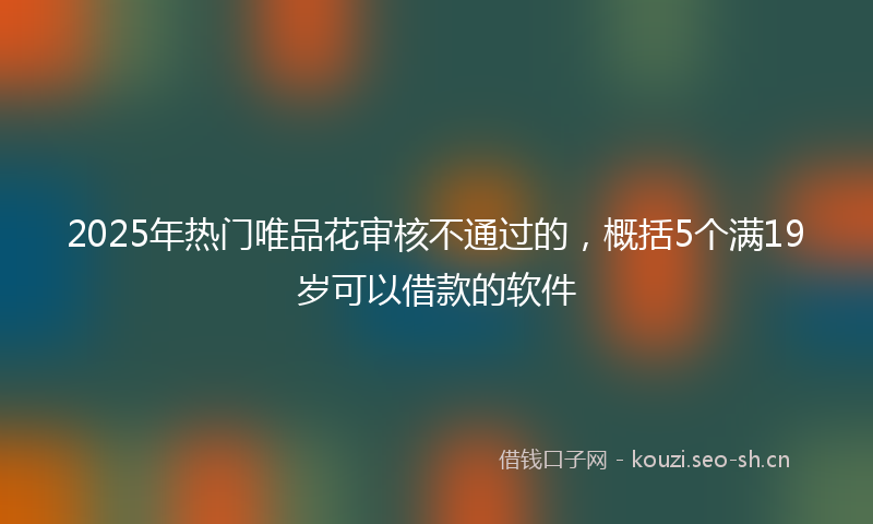 2025年热门唯品花审核不通过的，概括5个满19岁可以借款的软件