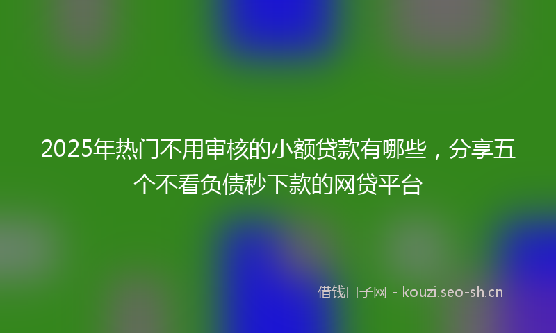 2025年热门不用审核的小额贷款有哪些，分享五个不看负债秒下款的网贷平台
