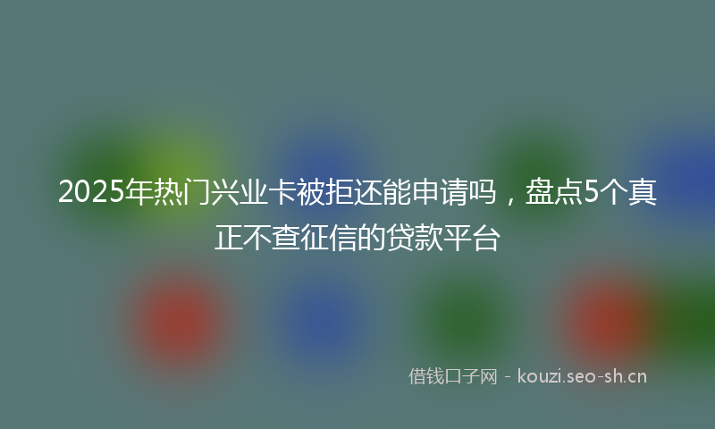 2025年热门兴业卡被拒还能申请吗，盘点5个真正不查征信的贷款平台
