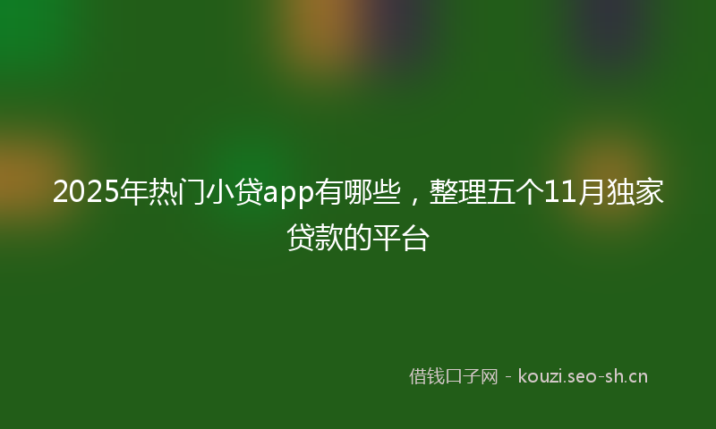 2025年热门小贷app有哪些，整理五个11月独家贷款的平台