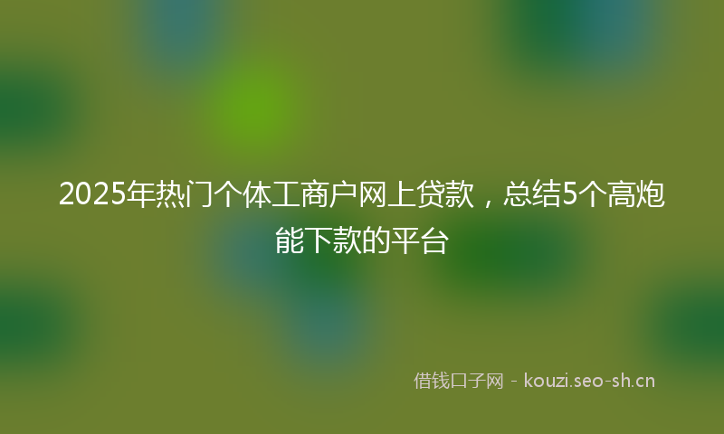 2025年热门个体工商户网上贷款，总结5个高炮能下款的平台