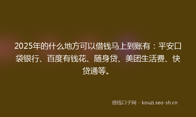 2025年的什么地方可以借钱马上到账有：平安口袋银行、百度有钱花、随身贷、美团生活费、快贷通等。
