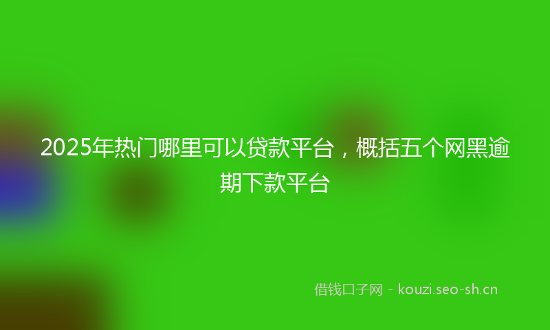 2025年热门哪里可以贷款平台，概括五个网黑逾期下款平台