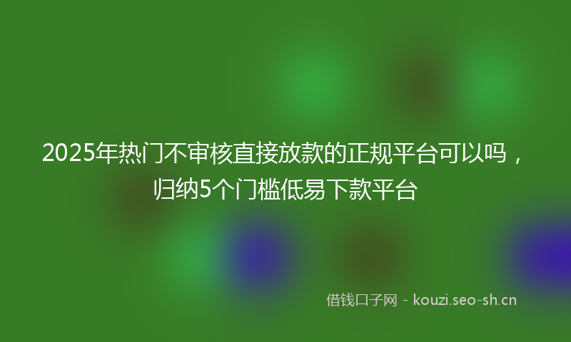 2025年热门不审核直接放款的正规平台可以吗，归纳5个门槛低易下款平台