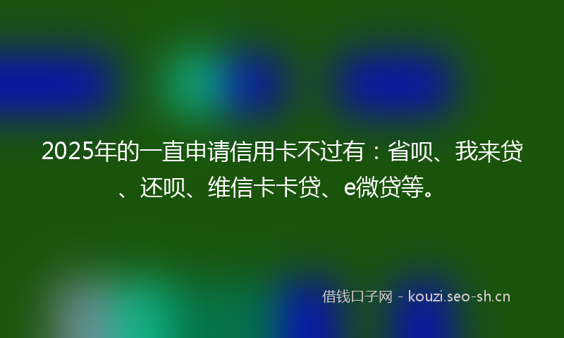 2025年的一直申请信用卡不过有：省呗、我来贷、还呗、维信卡卡贷、e微贷等。