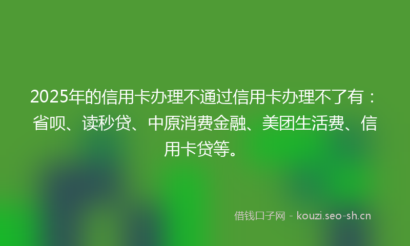 2025年的信用卡办理不通过信用卡办理不了有：省呗、读秒贷、中原消费金融、美团生活费、信用卡贷等。